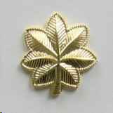 Major/Lt. Colonel Insignia, Large (Pair)- Gold