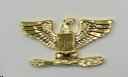 Eagle Insignia, Small (Pair)- Gold