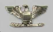 Eagle Insignia, Large (Pair)- Silver