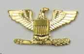 Eagle Insignia, Large (Pair)- Gold